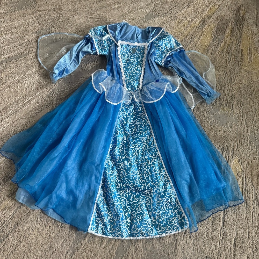 Disney Princess Factory Cinderella costume Halloween long sleeve tulle 5 / 6